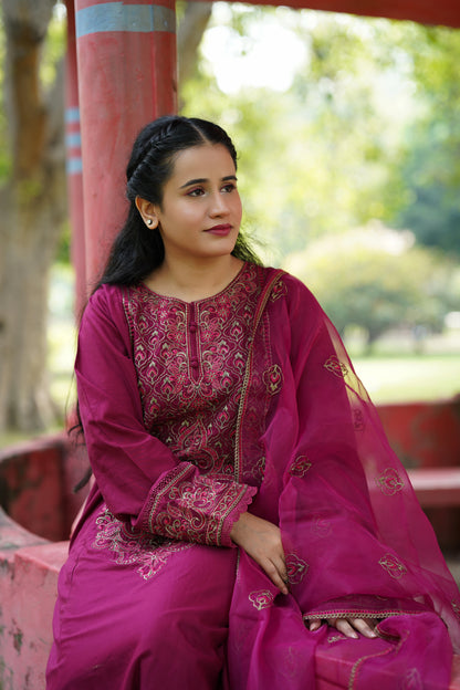 Maganda pink Embroidered 3 pc